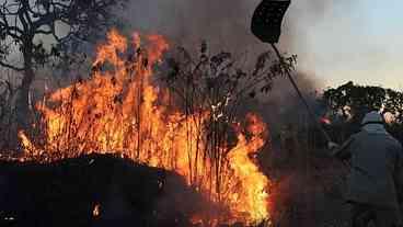 Ibama multa centenas por incêndios em 2024