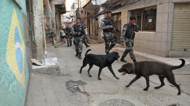 Equipes encontraram mais de 4 toneladas de drogas e 37 armas no ano passado