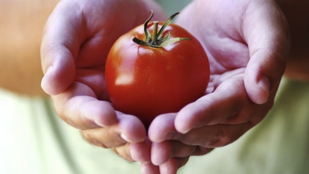 Pesquisas indicam que o tomate pode ajudar a diminuir o risco de câncer de próstata