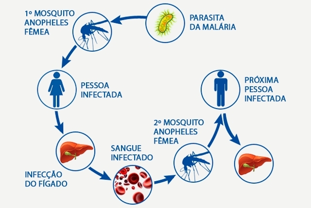 A maior incidência da malária é na África e Ásia