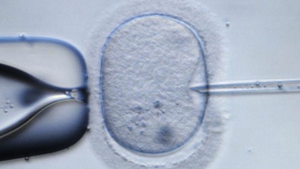 O Reino Unido se tornou o primeiro país a aprovar a fecundação de bebês nascidos a partir do DNA de três progenitores