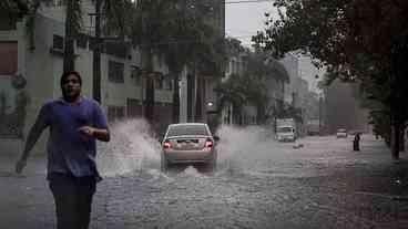 Temporais fazem mais uma vítima em SP com queda de árvore