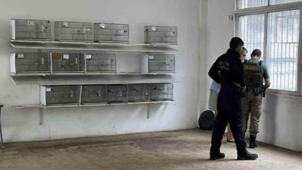 Servidor do INEA é exonerado após prisão por tráfico de animais silvestres | Prisão foi na sexta-feira junto com outros dois homens