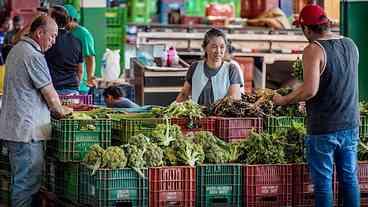 Anvisa monitora resíduos de agrotóxicos em alimentos