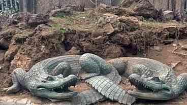 Jacarés de Bronze Retirados do Passeio Público