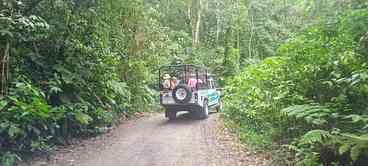 Carnaval na natureza: Litoral Norte de SP tem cenários naturais perfeitos para o ecoturismo