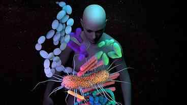 Microbiota Intestinal e Risco de Alzheimer