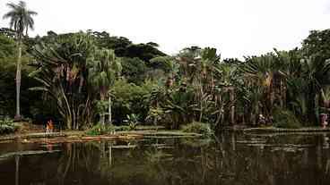 Concurso de Fotografia Dia Mundial da Limpeza 2025