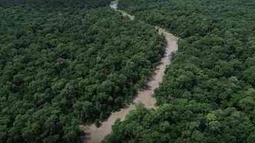 Dia da Amazônia: Atividades para a COP30