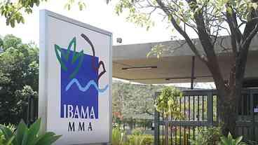 Governo aprova 460 nomeações no concurso do Ibama