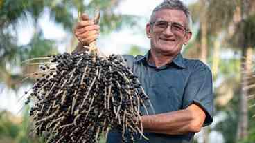 MEC Investe na Bioeconomia na Amazônia