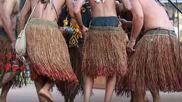 Virada Sustentável: 15 Anos de Festival em SP