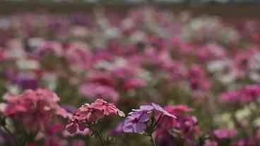 Frente Fria e Temporais Marcam Início da Primavera