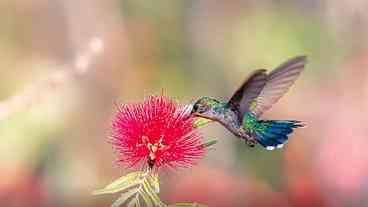 Primavera: Calor Intenso e Possível La Niña