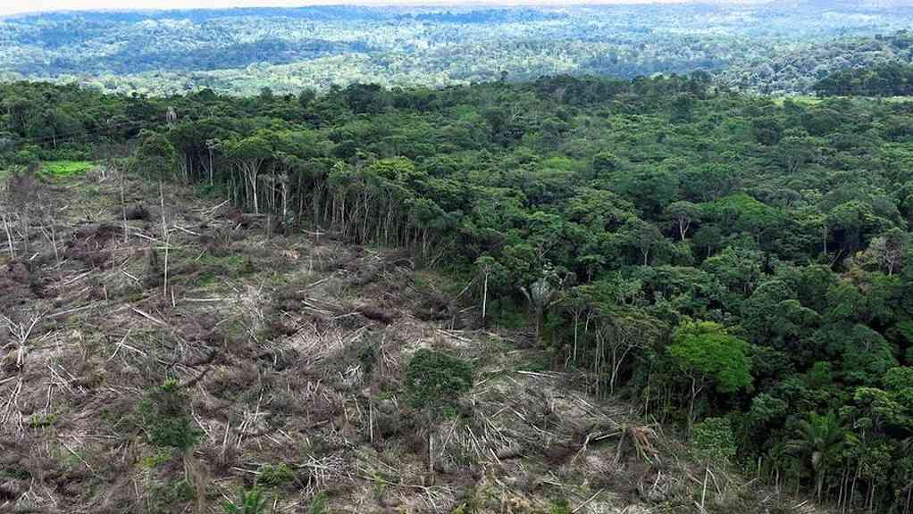 UE cogita novo adiamento de lei contra desmatamento | A lei visa acabar com os 10% do desmatamento global alimentados pelo consumo de produtos importados pela UE