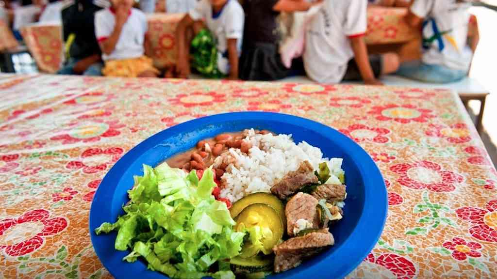 Unesco alerta para qualidade das refeições escolares no mundo | Relatório defende uso de alimentos frescos e monitoramento nutricional