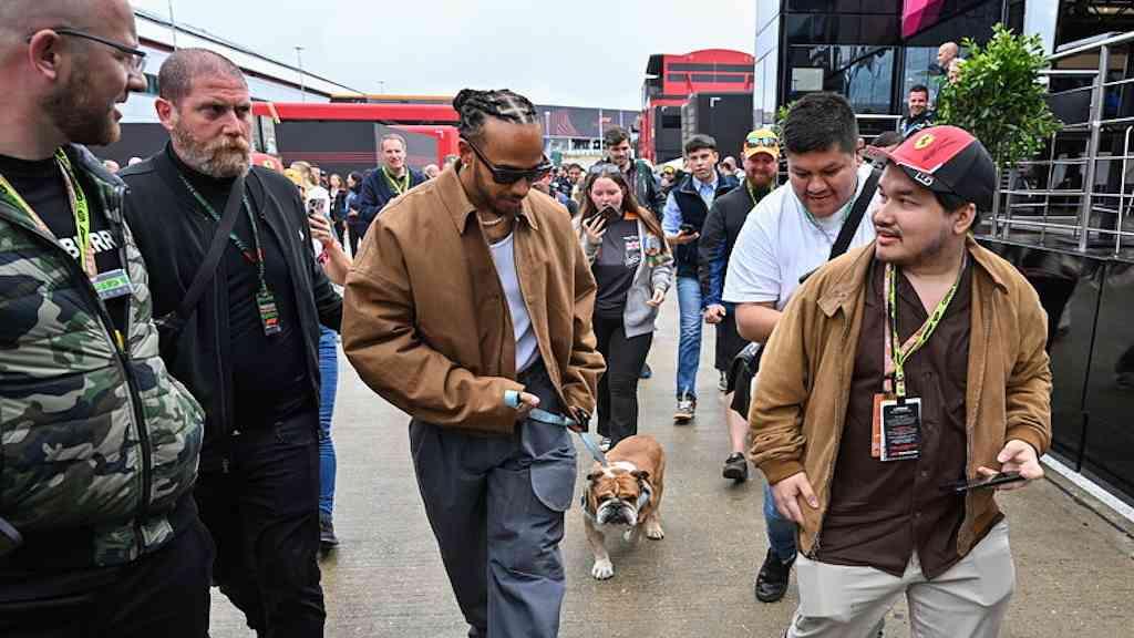 Hamilton cancela testes da Pirelli após coma de Roscoe | Roscoe virou sensação em paddock