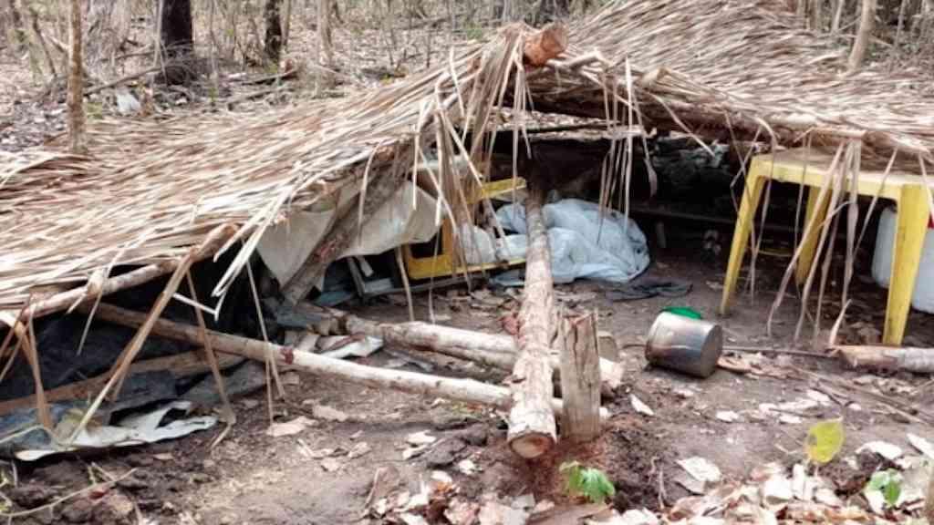 Assentamento no Tocantins sofre ataque de invasores | Agressores usaram motosserra para destruir barraco