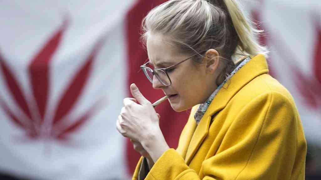 Maconha pode afetar fertilidade feminina, indica estudo | Consumo de cannabis pode dificultar gravidez e afetar o desenvolvimento do feto