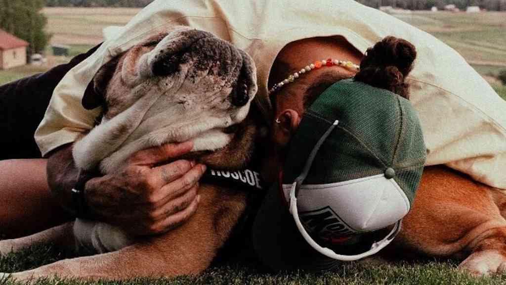 Hamilton anuncia morte de Roscoe, seu cão inseparável | Hamilton publicou imagens nas redes sociais