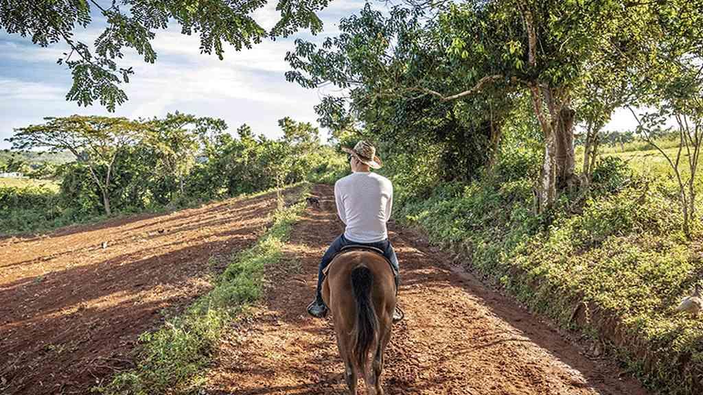 As riquezas do Brasil na promoção da paz | O Brasil é conhecido por ser potência em vários campos