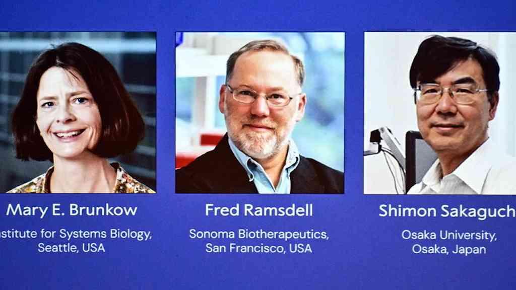 Nobel de Medicina reconhece avanços no estudo do sistema imunológico | Anúncio dos vencedores do Nobel de Medicina