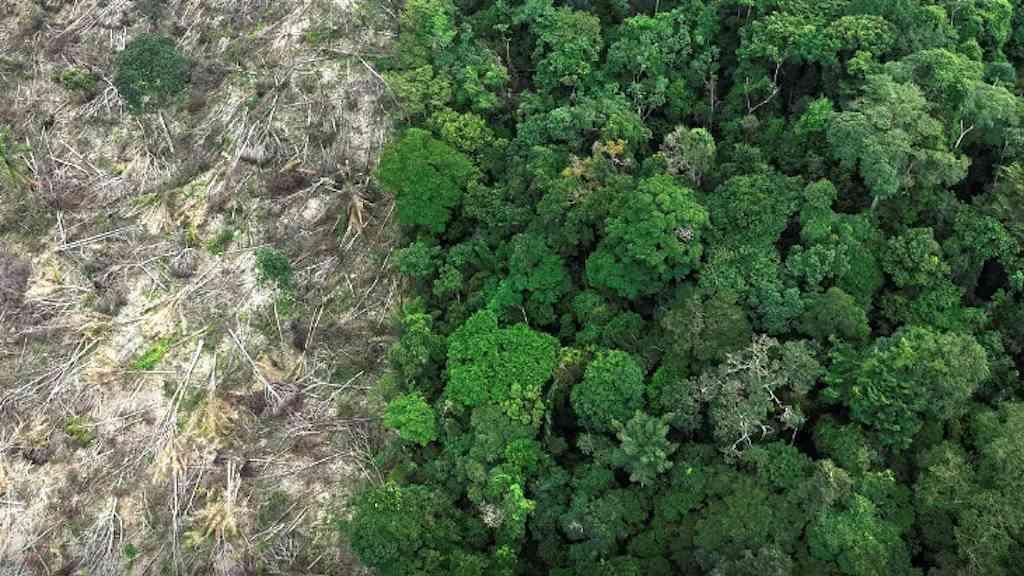 Mudanças climáticas impactam rotina na Amazônia Legal | Entre as comunidades tradicionais, 42% dizem sentir os efeitos