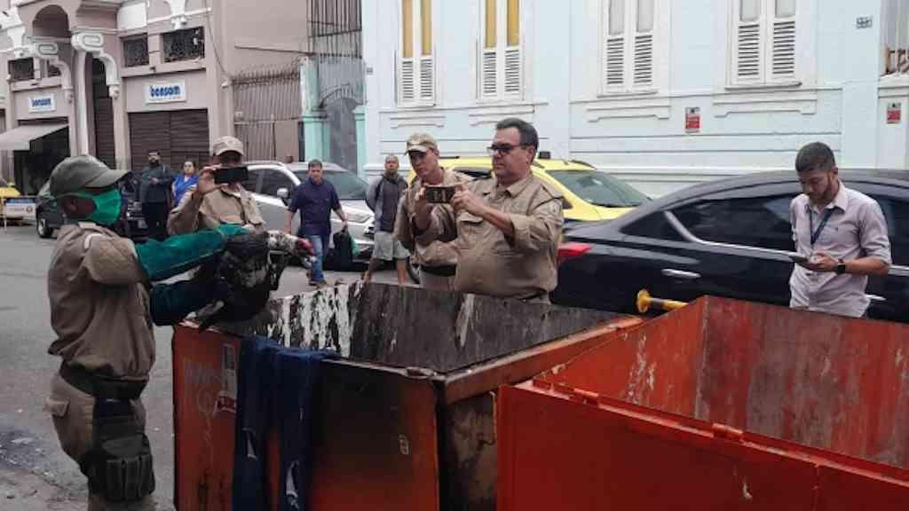 Aves resgatadas passam por cuidados antes de voltar à natureza | O grupo é formado por quatro patos e um ganso