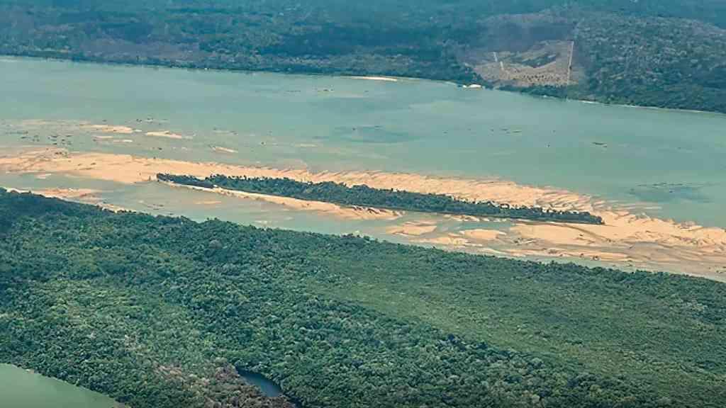 Desmatamento volta a avançar sobre Terra Indígena Munduruku | Área foi a que mais registrou desmatamento de abril a junho de 2025