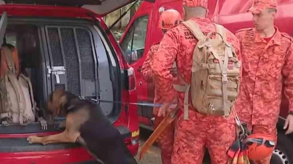 Bombeiros voltam a procurar idoso com Alzheimer na Zona Sul do Rio | Militares retomaram buscas por idoso nesta terça