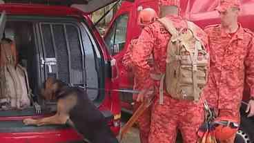 Bombeiros Buscam Idoso com Alzheimer na Zona Sul do Rio