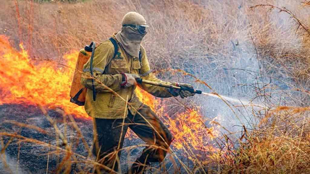 Raios causam novo incêndio na Chapada dos Veadeiros | Só no parque, 1,5 mil hectares já foram queimados
