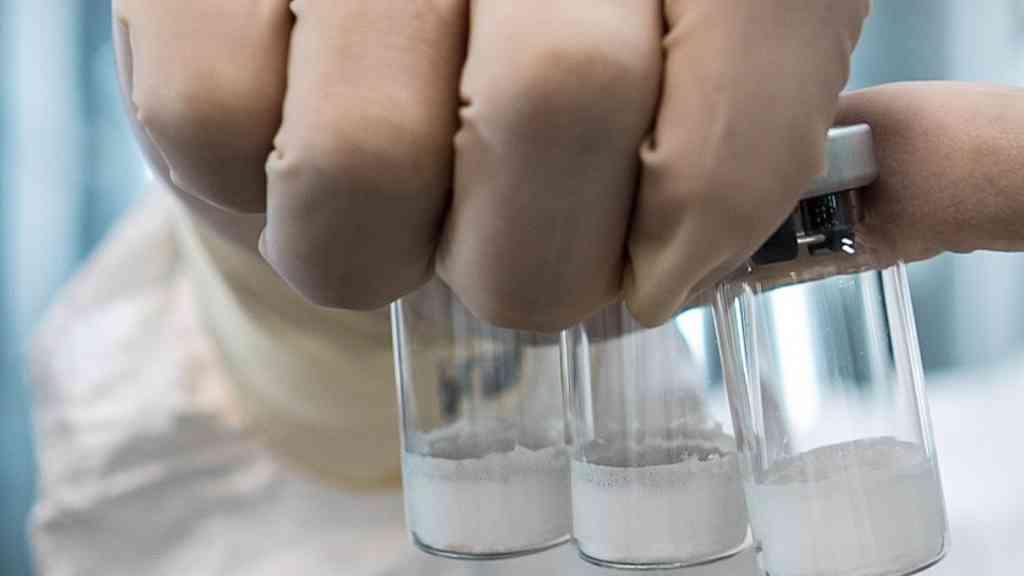 Butantan padroniza nomes de vírus da dengue em nova pesquisa | Nomes são utilizados desde setembro de 2024 em estudo