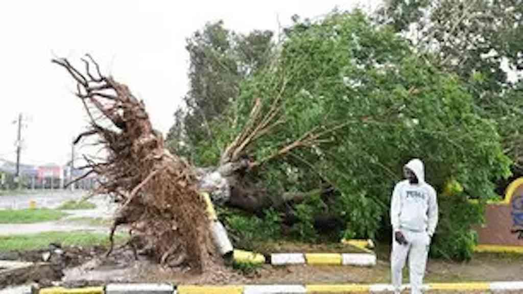 Furacão Melissa provoca mortes e destruição no Haiti | Fenômeno é considerado o mais devastador do século