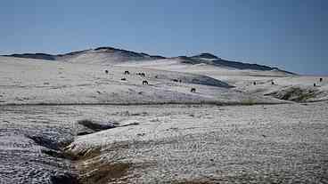 Aquecimento Global Causa Milhões de Mortes em 10 Anos