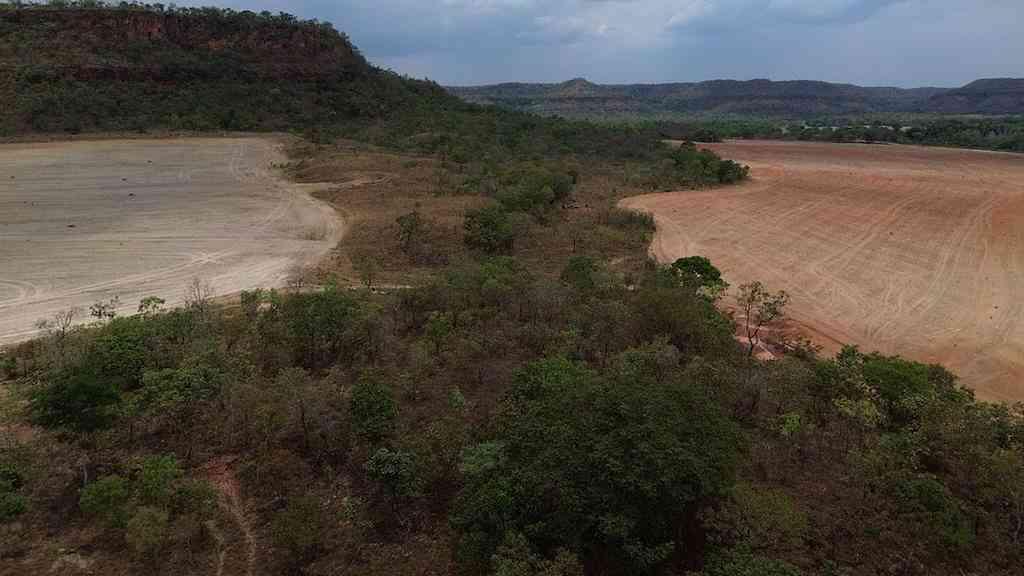 Avanço do agro pressiona áreas hídricas no Cerrado | Série começa em Balsas (MA), segundo município que mais desmata no país