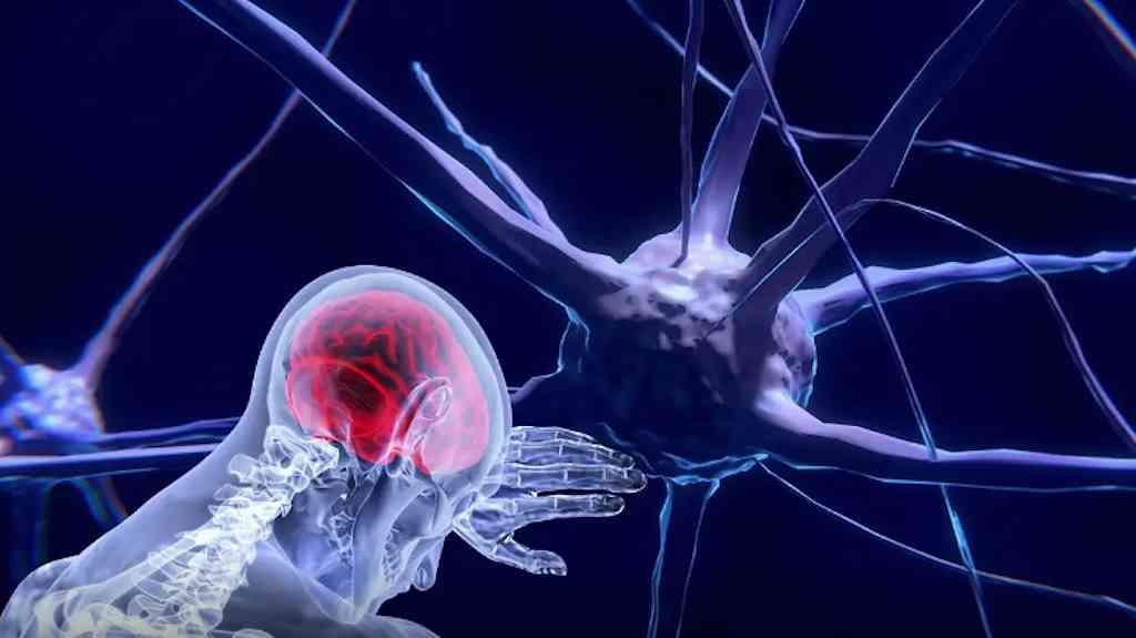 Unesco emite orientação inédita sobre uso ético de neurotecnologia | Unesco lança diretriz inédita para neurotecnologia