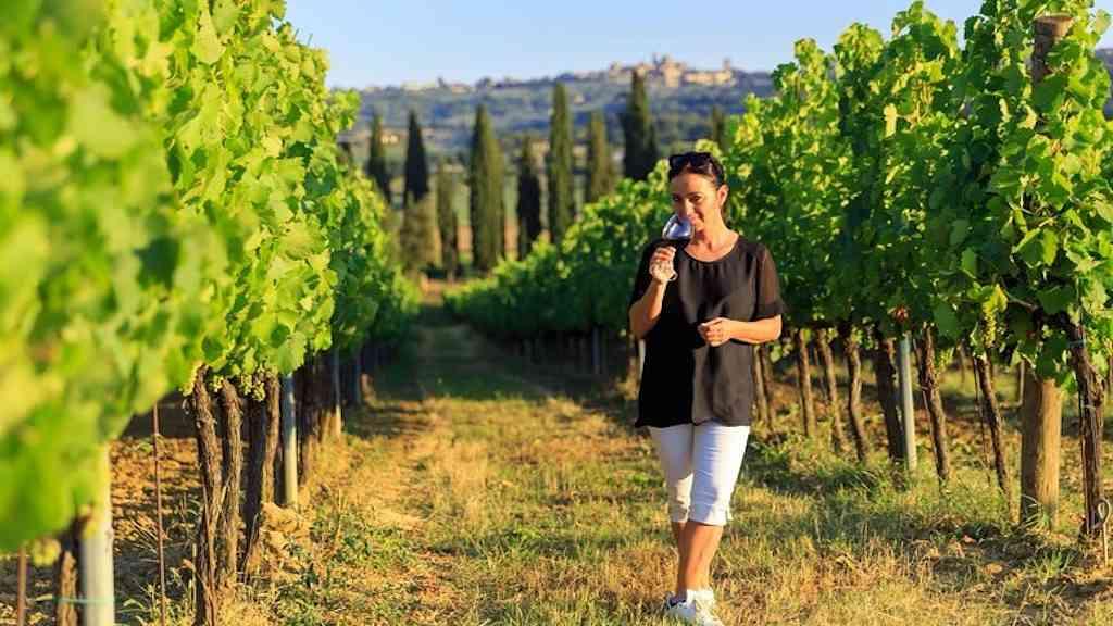 Toscana se destaca como destino preferido de turismo enogastronômico | Viajantes escolhem destino italiano para apreciar comida e bebida