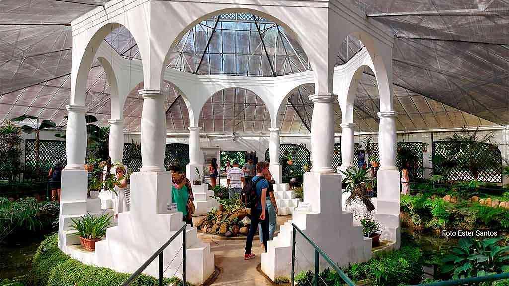 Jardim Botânico amplia programação, no Dia da Consciência Negra | O Jardim Botânico mantém um orquidário diverso e interativo