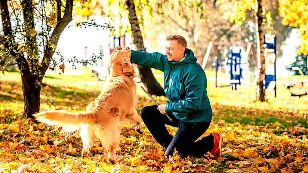 Cães e humanos interagem há mais tempo do que se conhecia | Cães e humanos são uma parceria perfeita há mais de 14 mil anos