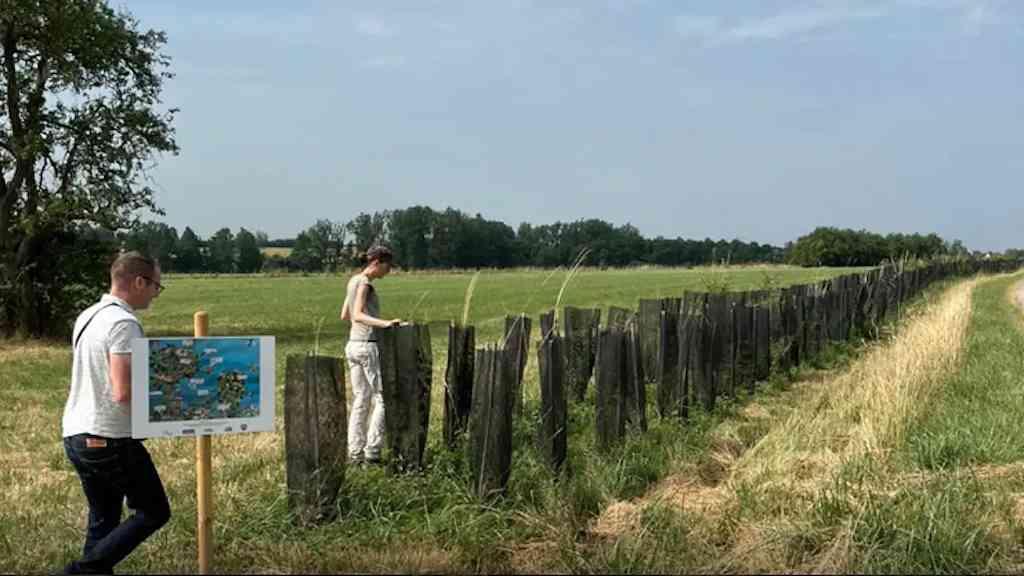 Lavoura integrada a florestas ajuda a reduzir efeitos da mudança climática | Sistema combina produção agrícola com preservação ambiental