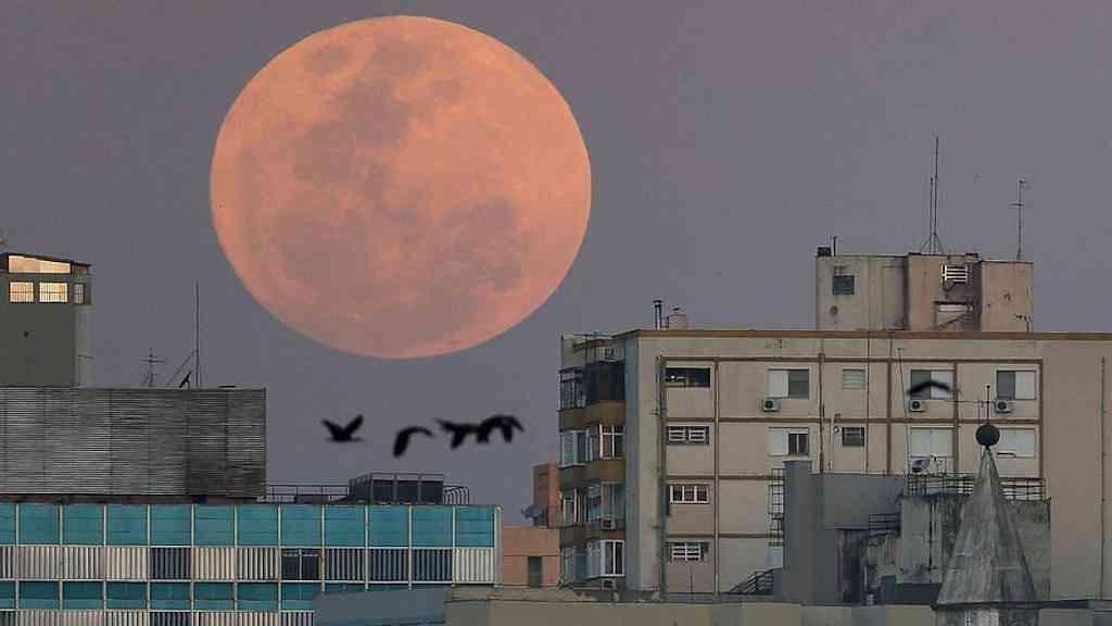 Superlua final do ano: veja detalhes e quando observar | A superlua pode ser vista de vários lugares do mundo, incluindo o Brasil