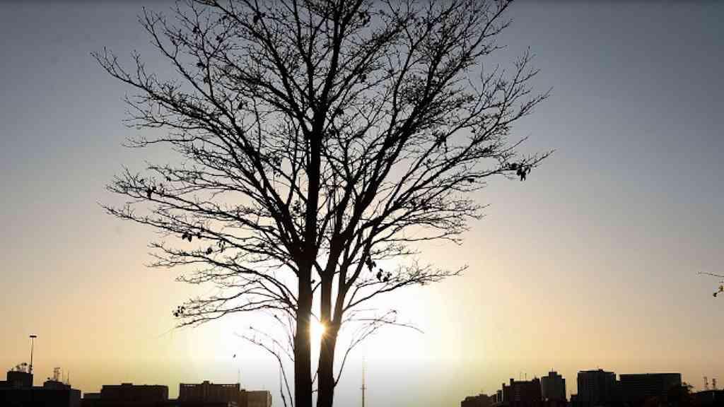 Previsão da OMM indica La Niña de baixa intensidade | Muitas regiões ainda deverão estar mais quentes do que o normal