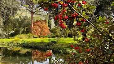 Jardim mais romântico do mundo reabre em dezembro