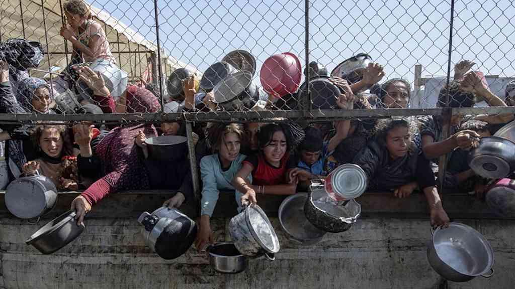 Com crítica à apatia global, ONU apresenta pedido humanitário para 2026 | Multidão à espera de ajuda alimentar em Gaza