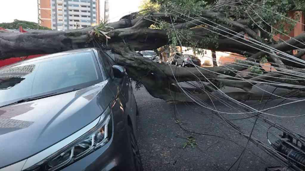 São Paulo e capitais do Sul devem registrar ventos moderados | Temperaturas ficarão amenas e se elevam ao longo do dia