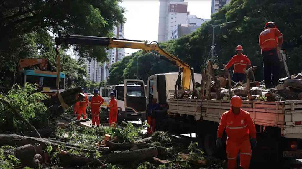 Após ciclone, 800 mil seguem sem luz em São Paulo | Enel diz ter restabelecido serviço para 1,2 milhão de clientes
