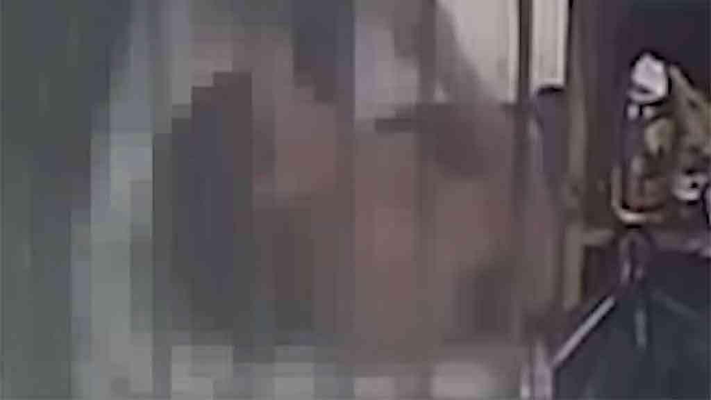 Polícia paulista apura morte de mulher com mais de 20 tiros | Sueli Araújo foi atingida por múltiplos disparos, em uma adega paulistana