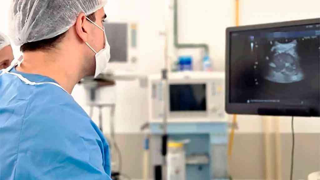 Estudo mostra alternativa para detecção do câncer de próstata | O médico Bruno Farnese realiza o procedimento cirúrgico