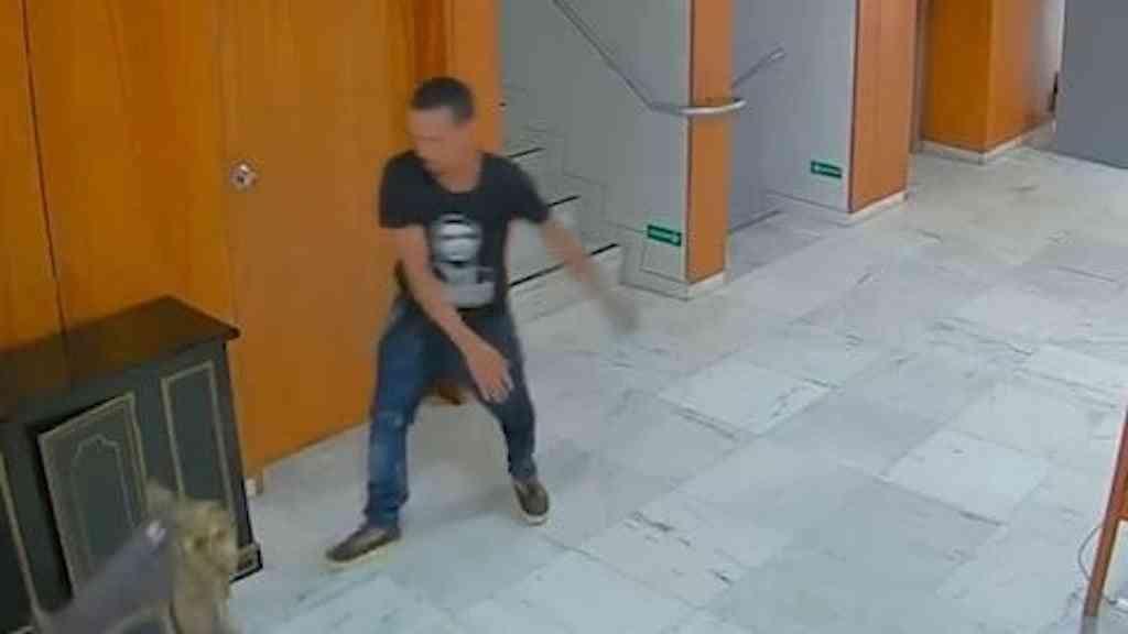 STF determina recálculo da pena de réu do 8 de Janeiro | Pena de réu do 8 de Janeiro é recalculada por ordem de Moraes